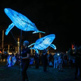 two large whale puppets lit from within at night 